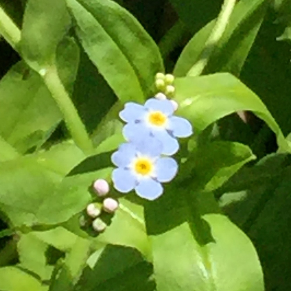 Meet your Posher, Kristen